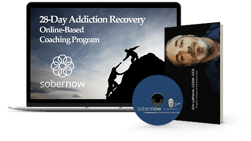 Sobernow – livestream 1 Course Bundle