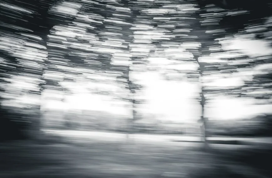 Doing recovery alone: the hamster wheel @ 100 mph 2 Vgnqz4Dmi6G